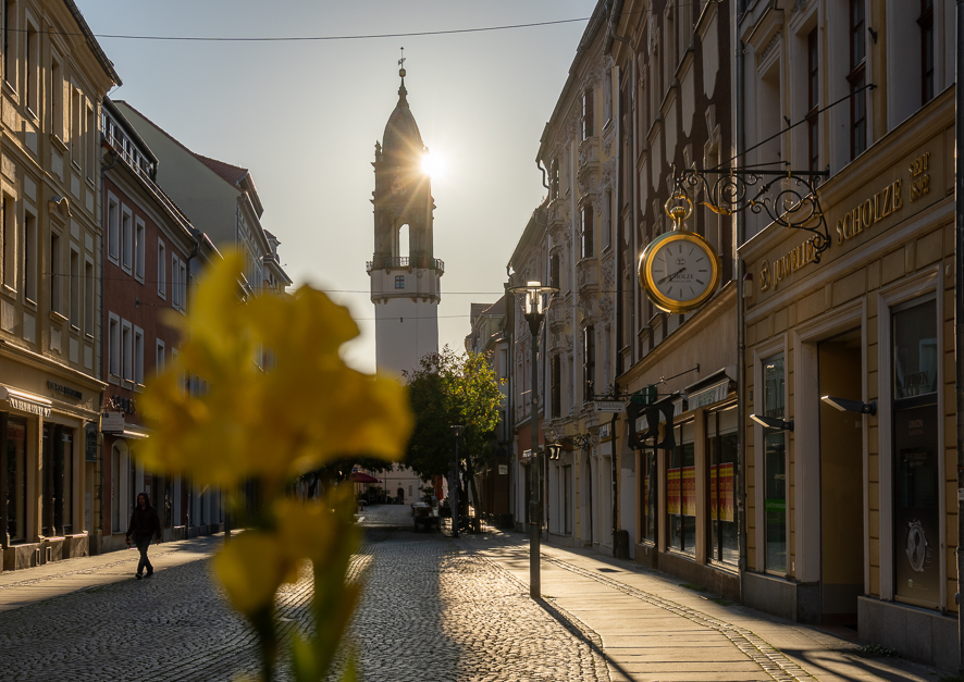 D08 8662 HDR
