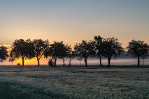 Umland Z019589 HDR